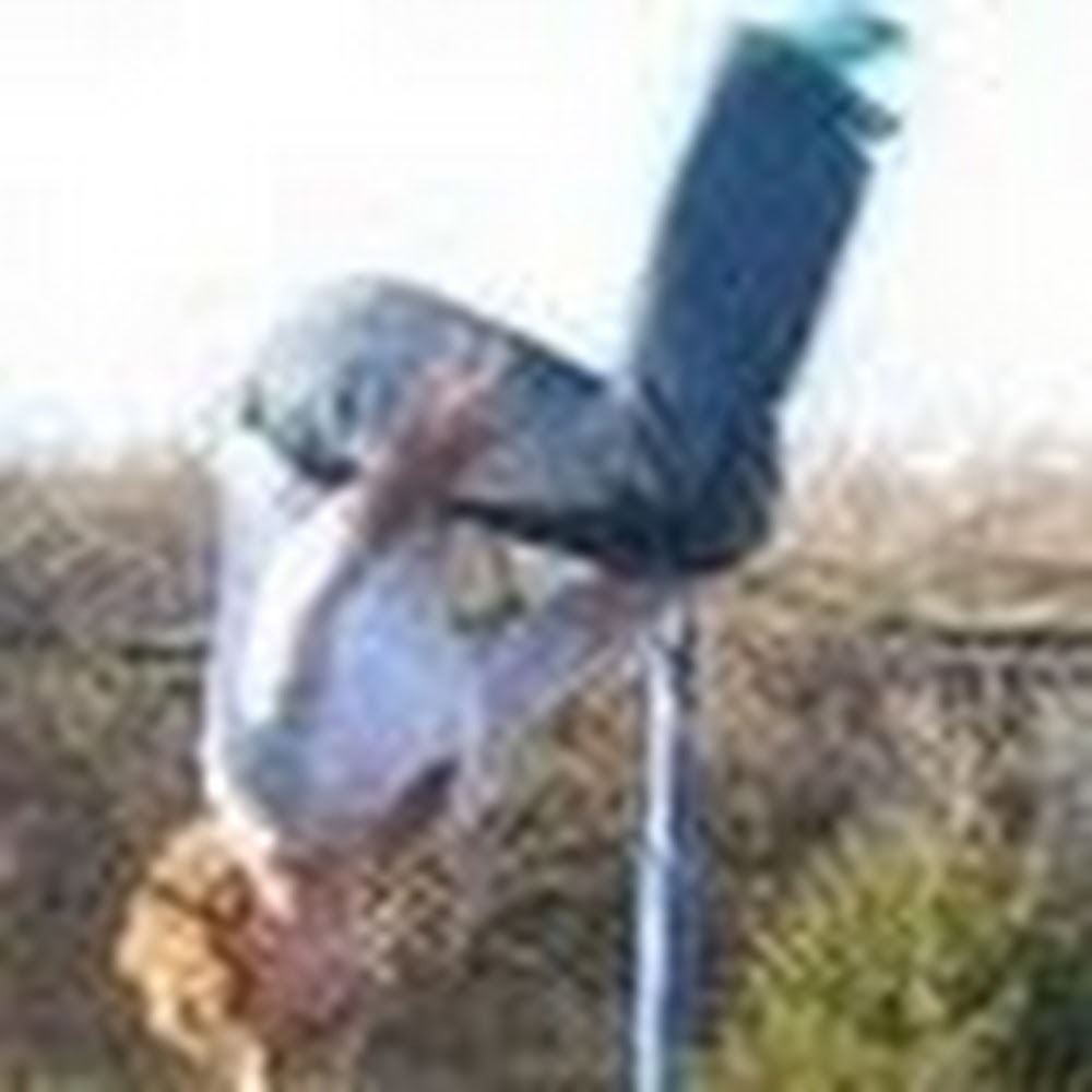 Meet your Posher, Mallory